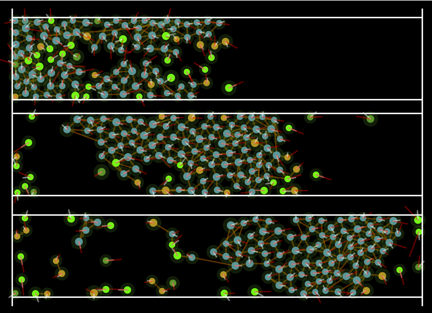 Cell migration simulation