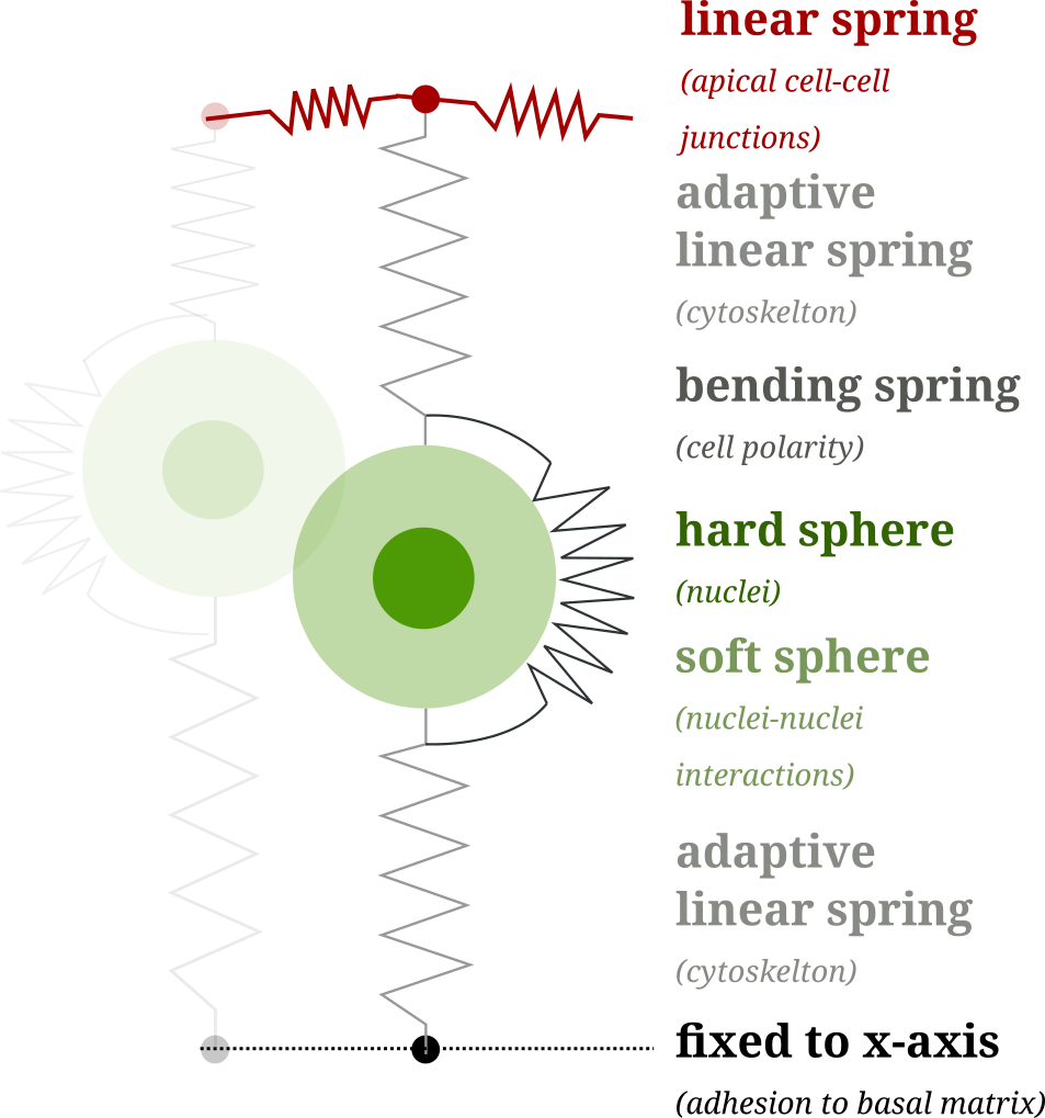EMT model diagram