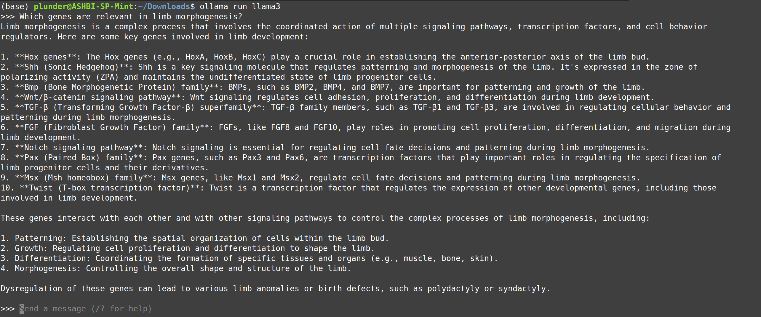 Chatting with LLama3 in the terminal via Ollama