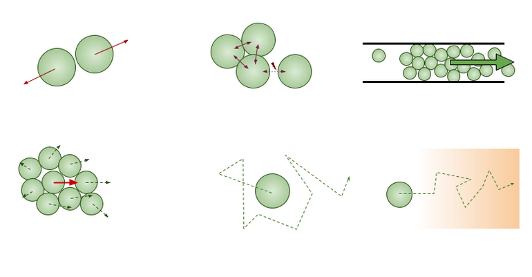 Cell migration model for plithotaxis