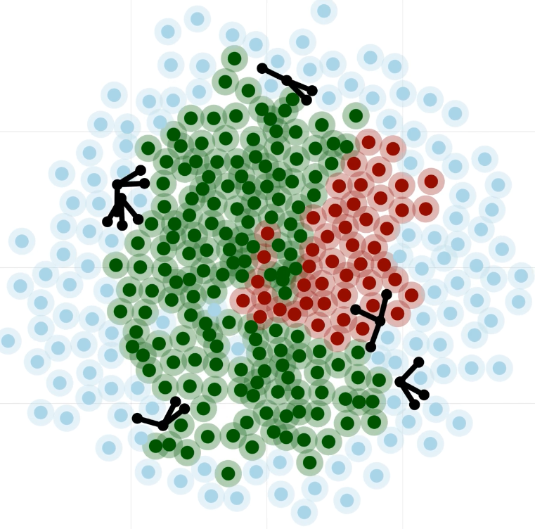 Germinal center morphology